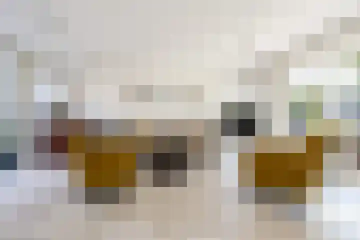 Koekoek 9 Brakel thumbnail 10