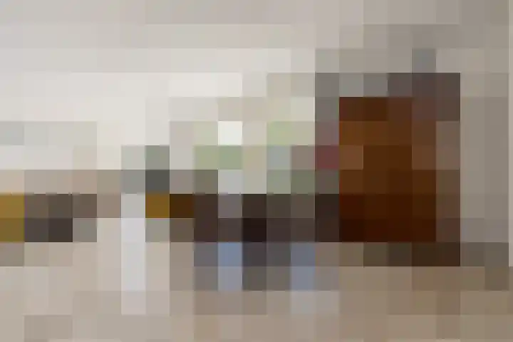 Koekoek 9 Brakel thumbnail 14