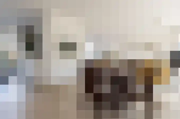 Koekoek 9 Brakel thumbnail 15