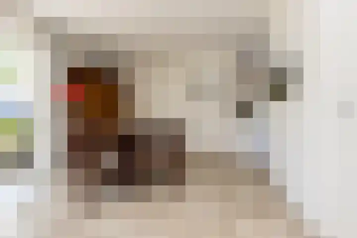 Koekoek 9 Brakel thumbnail 16