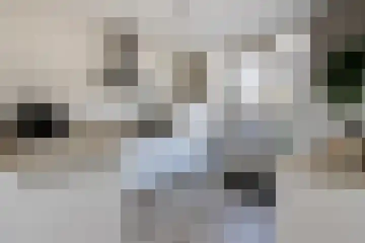 Koekoek 9 Brakel thumbnail 17