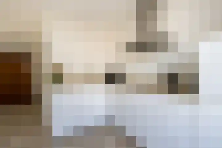 Koekoek 9 Brakel thumbnail 18
