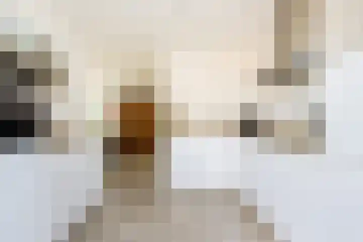 Koekoek 9 Brakel thumbnail 19