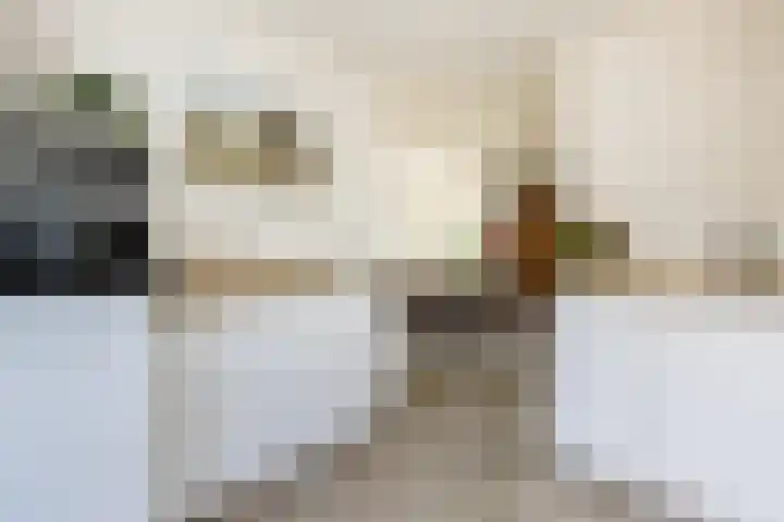 Koekoek 9 Brakel thumbnail 20