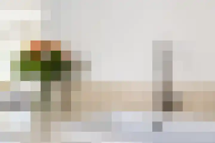Koekoek 9 Brakel thumbnail 21