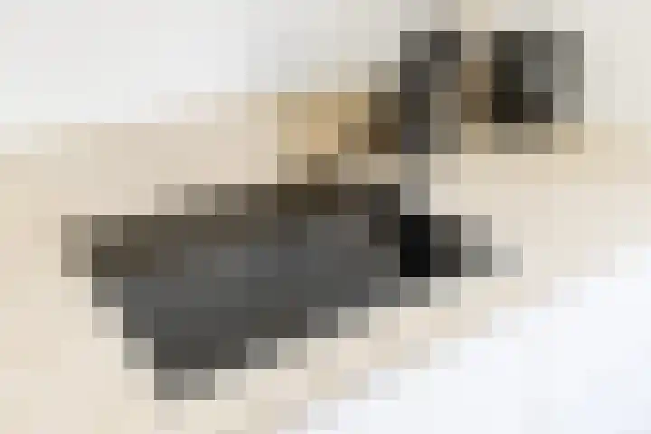Koekoek 9 Brakel thumbnail 22