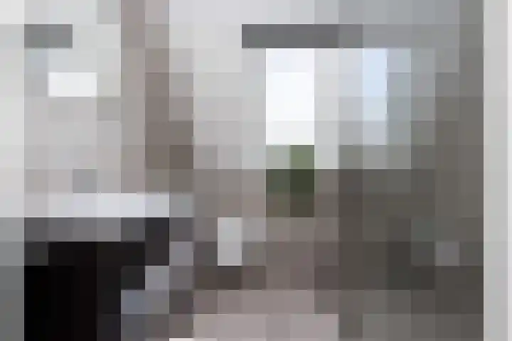 Koekoek 9 Brakel thumbnail 33