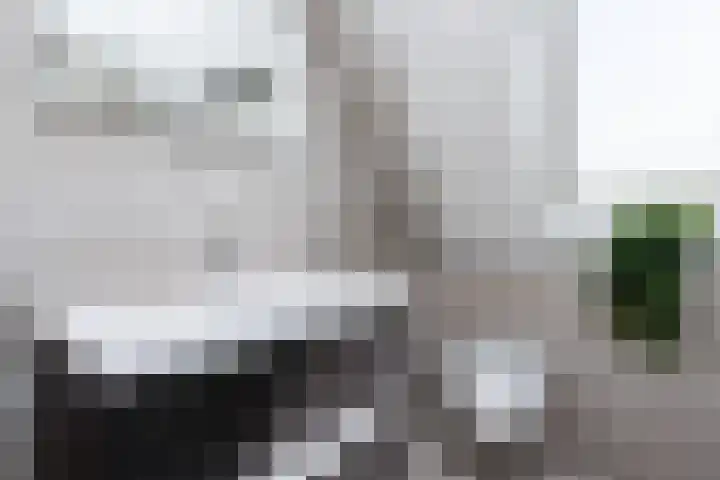 Koekoek 9 Brakel thumbnail 34