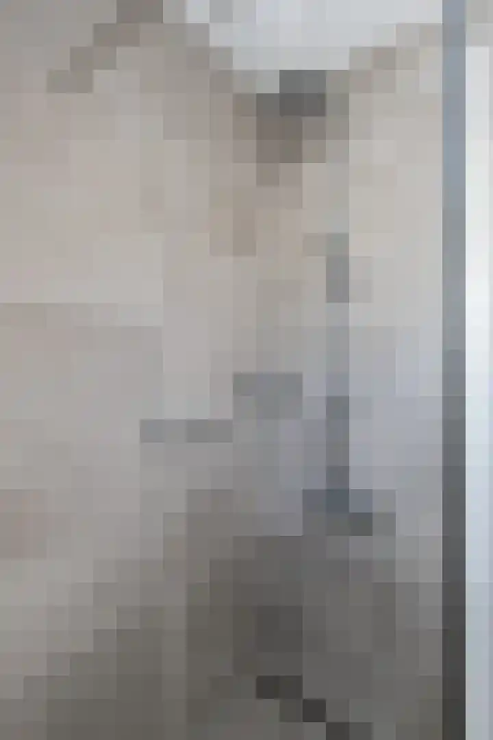 Koekoek 9 Brakel thumbnail 35