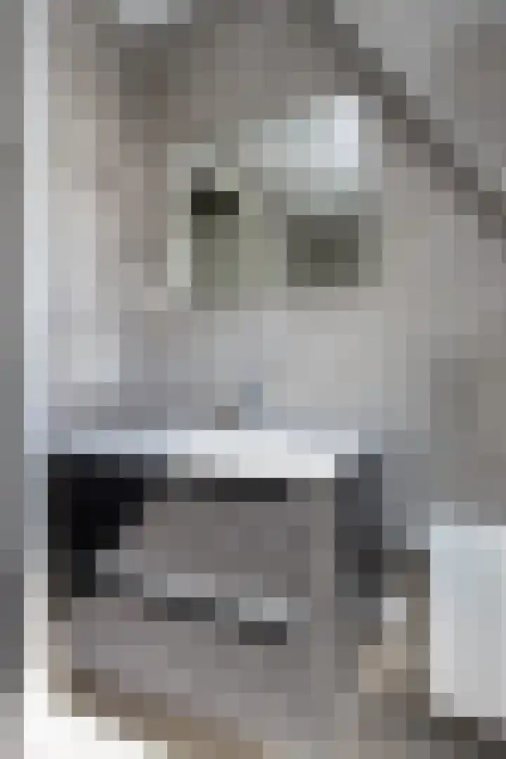 Koekoek 9 Brakel thumbnail 36
