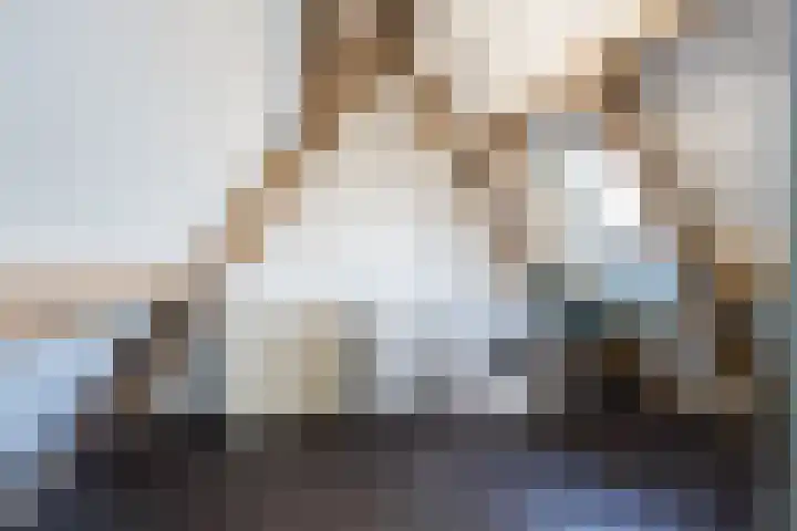 Koekoek 9 Brakel thumbnail 39