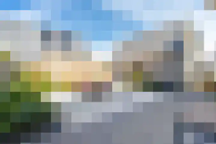 Koekoek 9 Brakel thumbnail 40