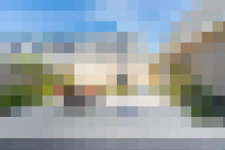 Koekoek 9 Brakel thumbnail 42