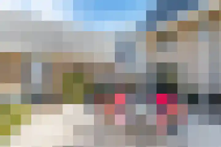 Koekoek 9 Brakel thumbnail 46