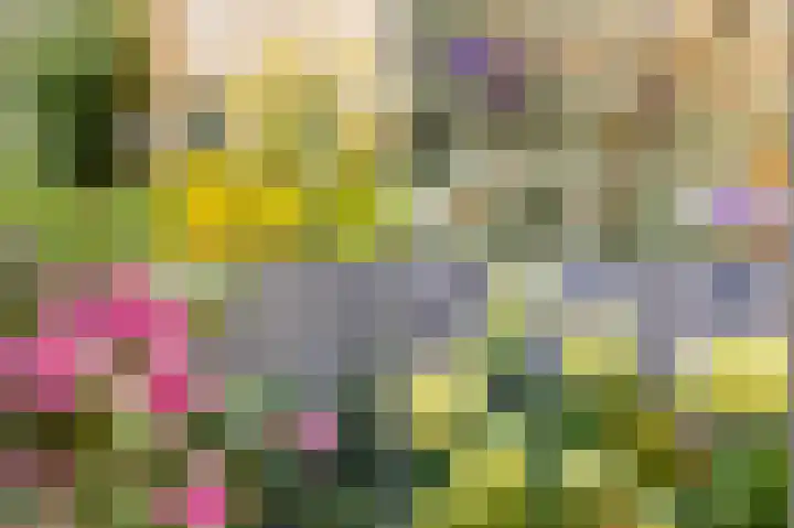Koekoek 9 Brakel thumbnail 47
