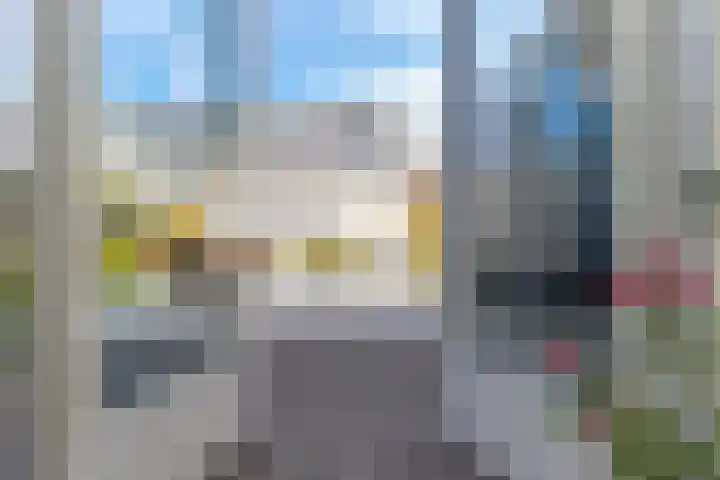 Koekoek 9 Brakel thumbnail 48