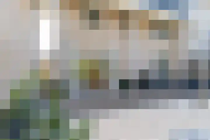 Koekoek 9 Brakel thumbnail 49