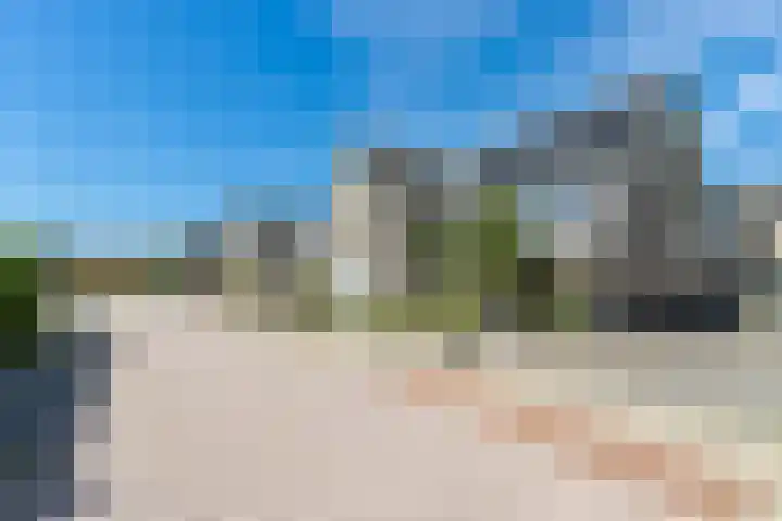 Koekoek 9 Brakel thumbnail 51