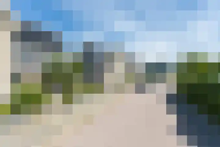 Koekoek 9 Brakel thumbnail 54