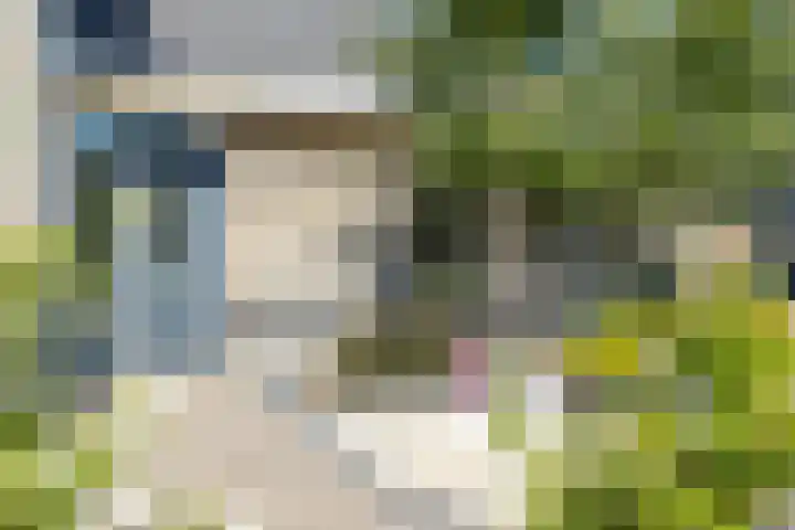 Koekoek 9 Brakel thumbnail 55