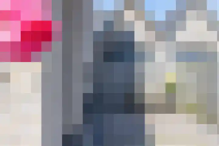 Koekoek 9 Brakel thumbnail 56