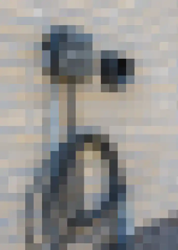 Koekoek 9 Brakel thumbnail 57