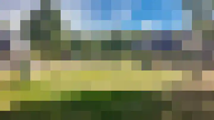 Koekoek 9 Brakel thumbnail 58