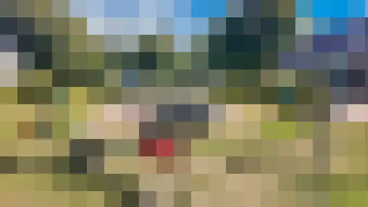 Koekoek 9 Brakel thumbnail 59