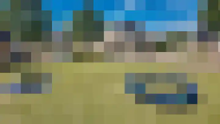 Koekoek 9 Brakel thumbnail 60