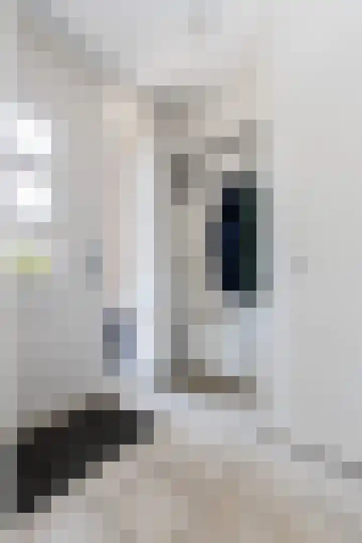 Koekoek 9 Brakel thumbnail 7