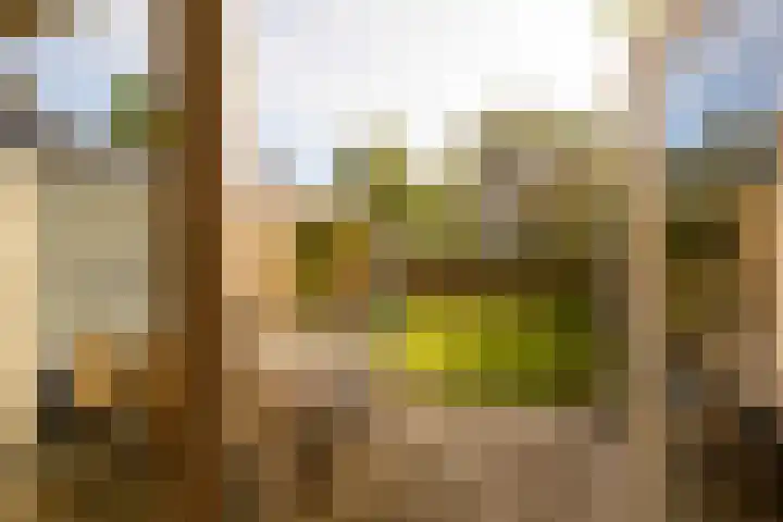 Koekoeklaan 1 Leidschendam thumbnail 12