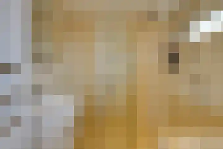 Koekoeklaan 1 Leidschendam thumbnail 17
