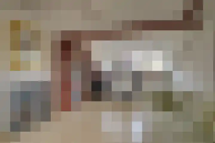 Koekoeklaan 1 Leidschendam thumbnail 20