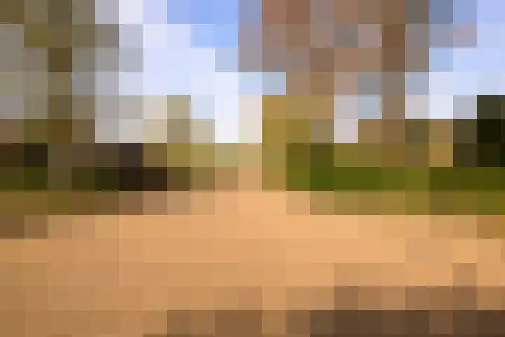 Koekoeklaan 1 Leidschendam thumbnail 26