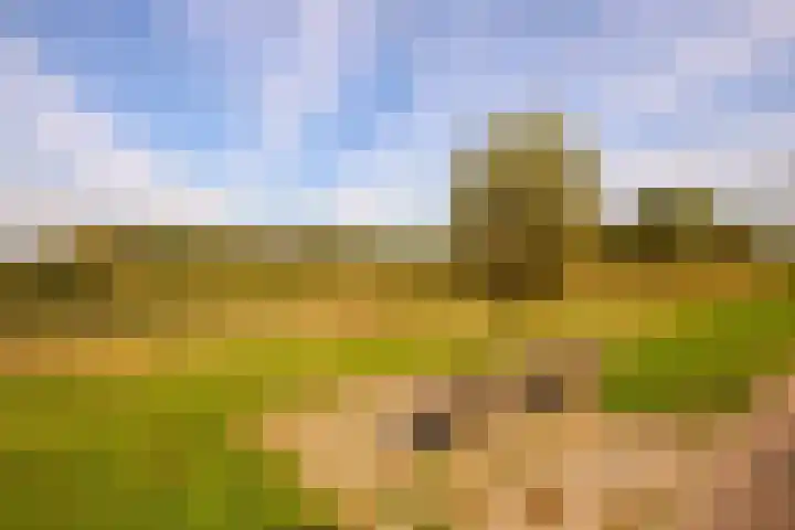 Koekoeklaan 1 Leidschendam thumbnail 28