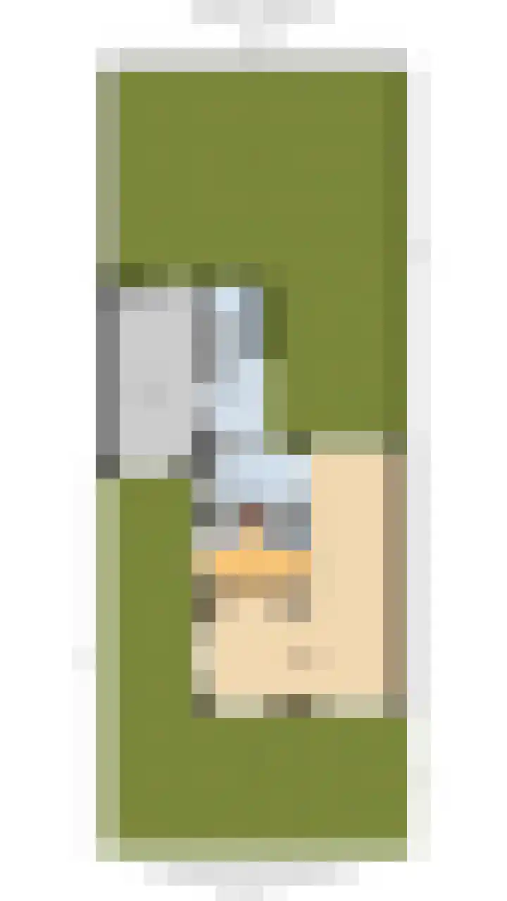 Koekoeklaan 1 Leidschendam thumbnail 32