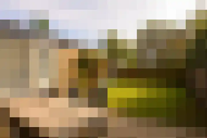 Koekoeklaan 1 Leidschendam thumbnail 4