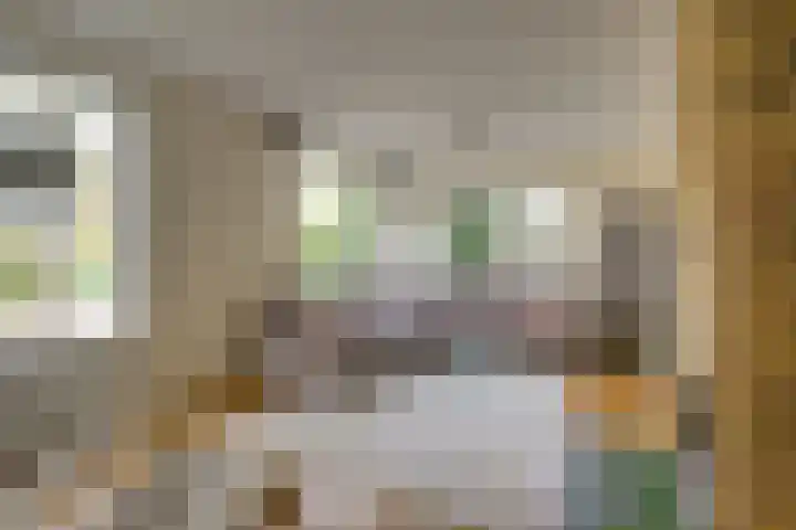 Koekoeklaan 1 Leidschendam thumbnail 8