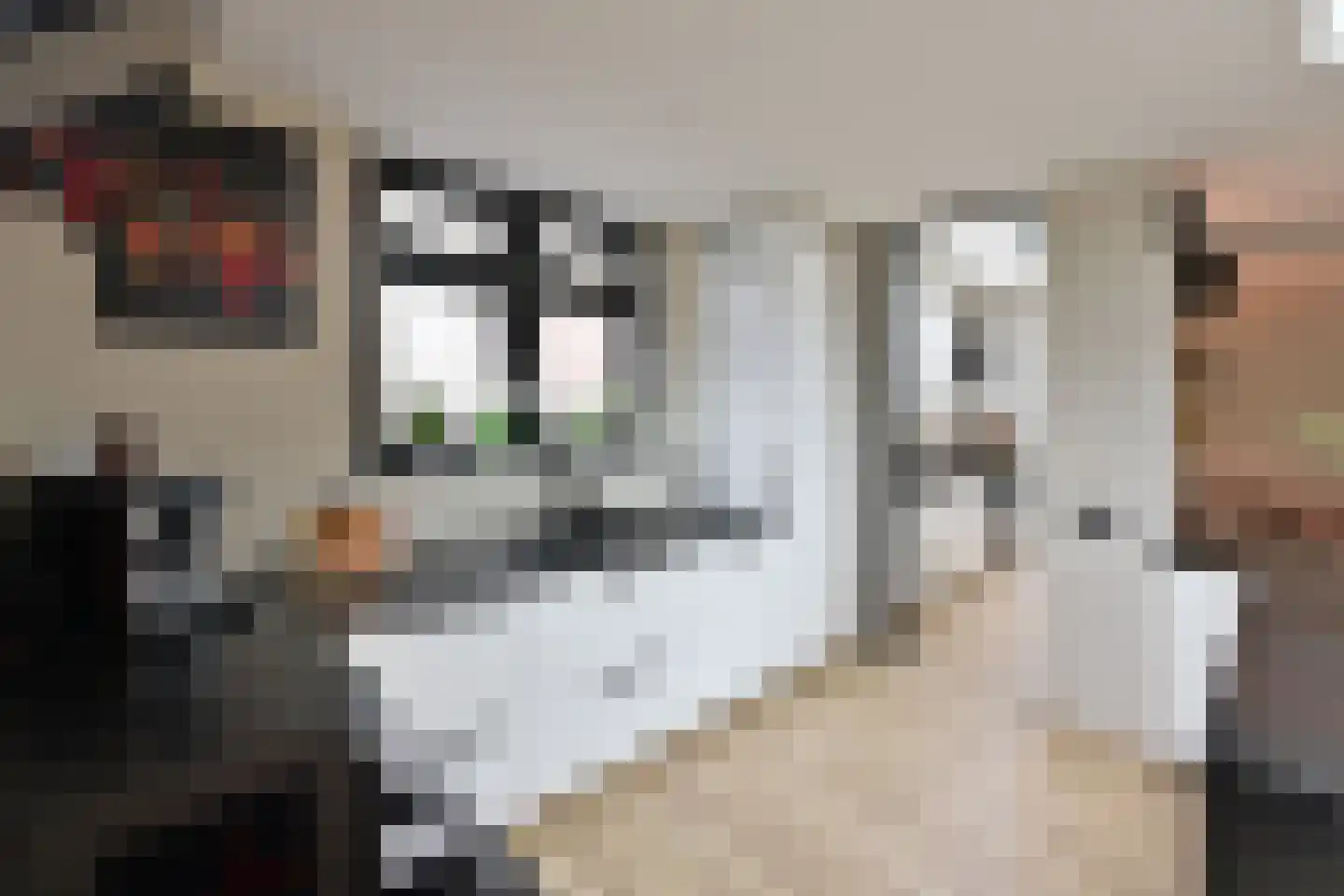 Koekoeklaan 106 Bussum thumbnail 12