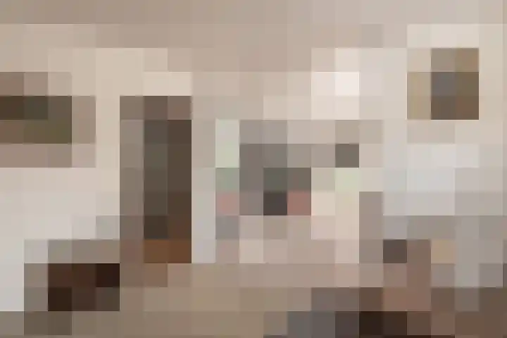 Koekoeklaan 14 Woerden thumbnail 13