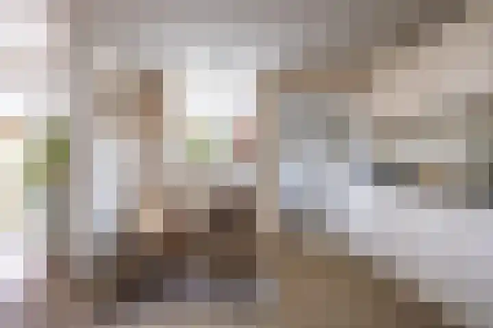 Koekoeklaan 14 Woerden thumbnail 14