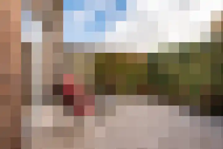 Koekoeklaan 14 Woerden thumbnail 16