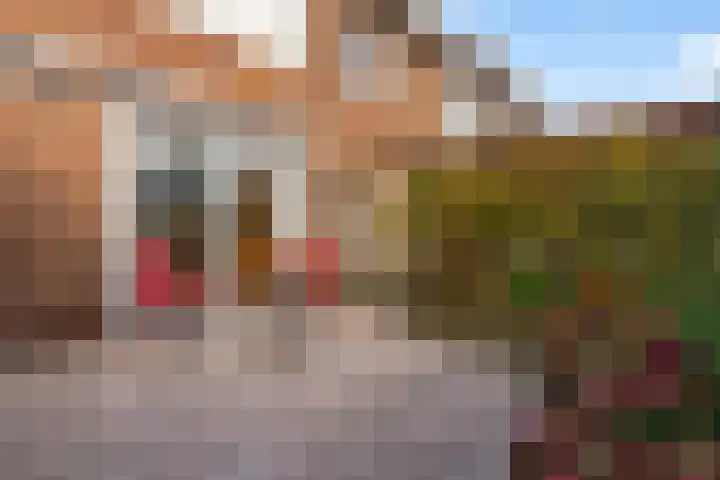 Koekoeklaan 14 Woerden thumbnail 18