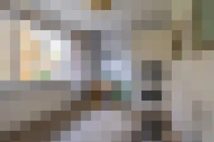Koekoeklaan 14 Woerden thumbnail 23