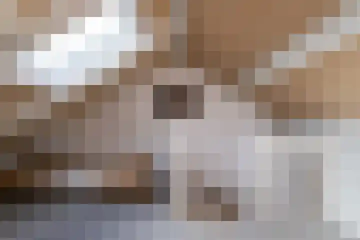 Koekoeklaan 14 Woerden thumbnail 28