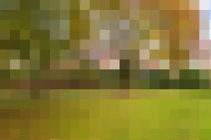 Koekoeklaan 14 Woerden thumbnail 31