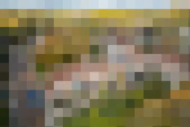 Koekoeklaan 14 Woerden thumbnail 32