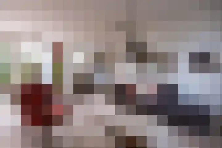 Koekoeklaan 14 Woerden thumbnail 4