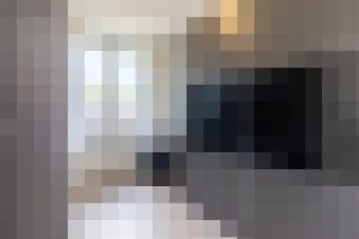 Koekoeklaan 17 Grubbenvorst thumbnail 21