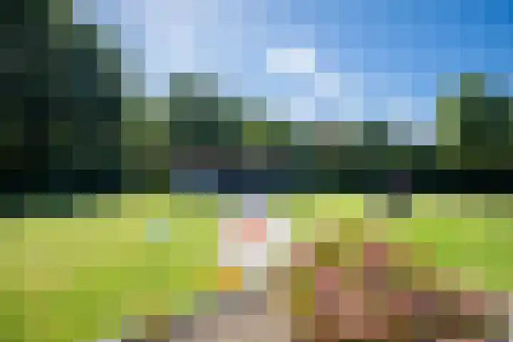 Koekoeklaan 17 Grubbenvorst thumbnail 34